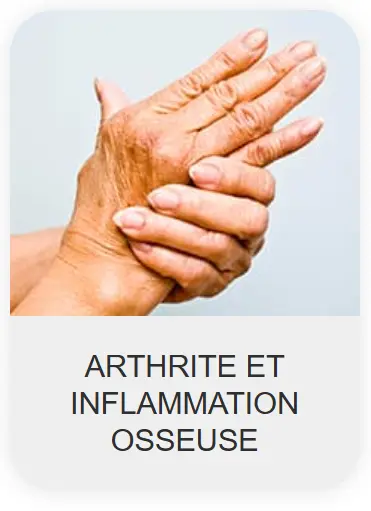 Chondrolax-ma-Morocco